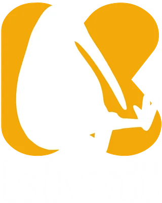 JusteKiwii
