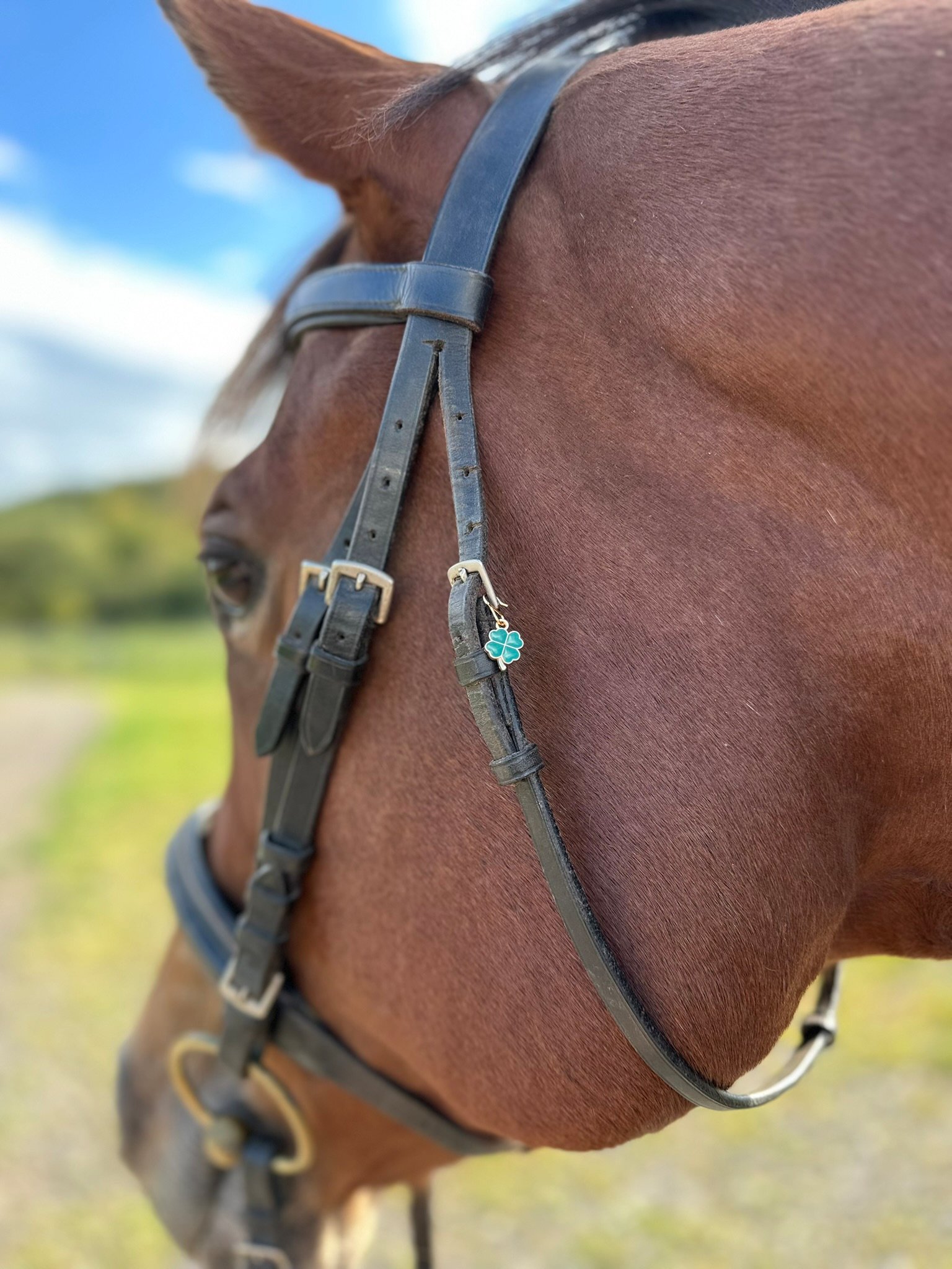 Shamrock Good Luck Whinny Winners Braid and Bridle Charms for Horses | Little Shop of Ponies product image (1)
