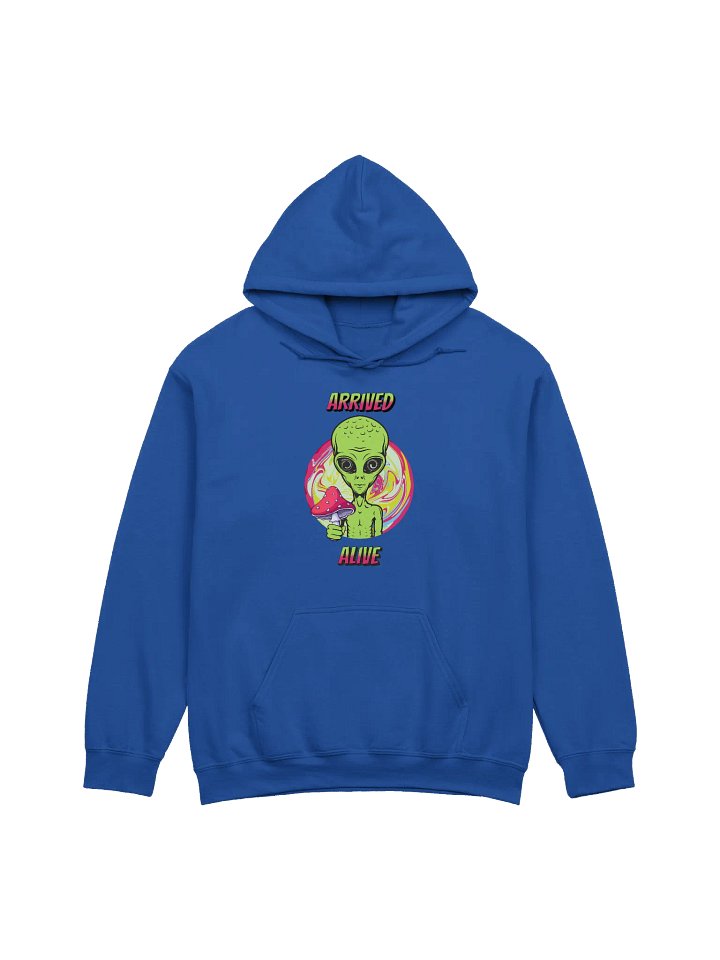 ARRIVED ALIVE ALIEN HOODIE product image (1)