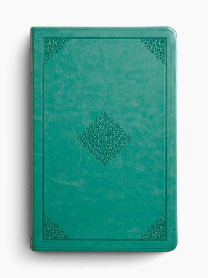 Bible - Teal product image (1)