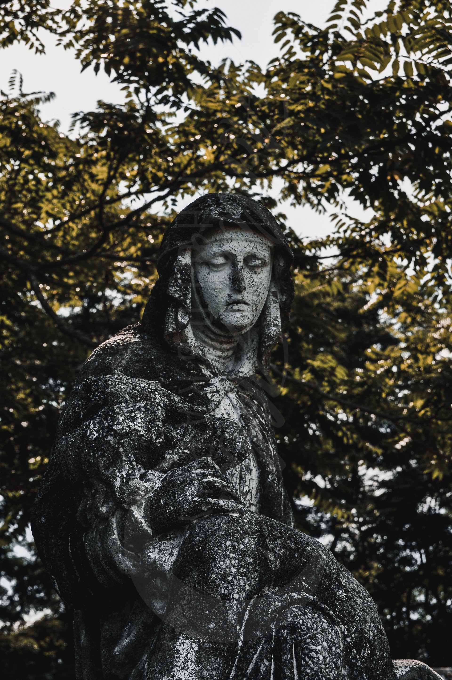 Mourning in Stone product image (1)