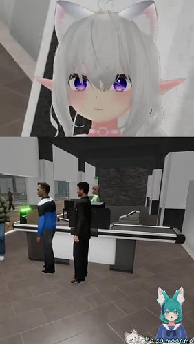 Catching Strays #vtuber #supermarket #broom