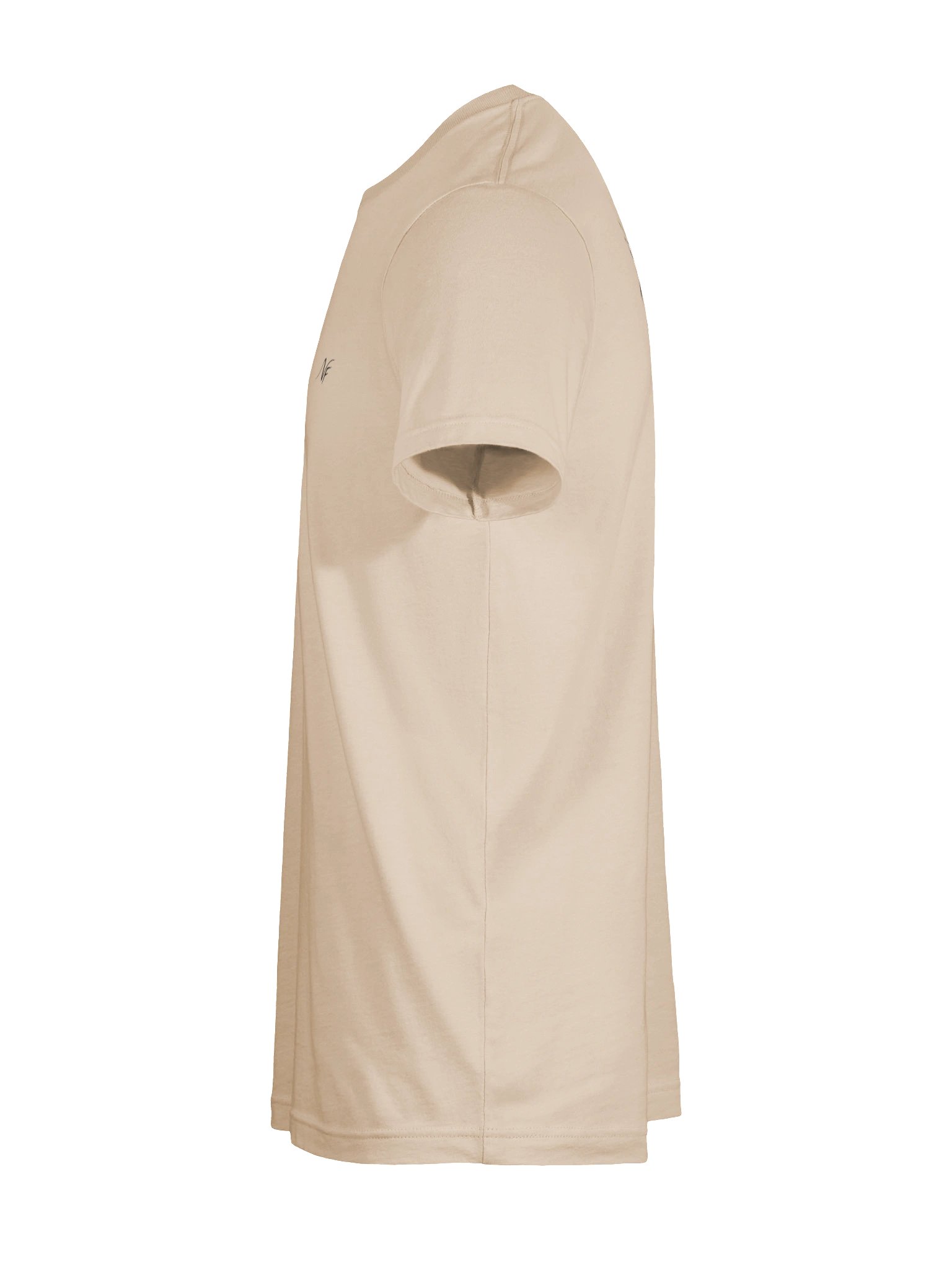 Standard Hummingbird T-shirt product image (109)