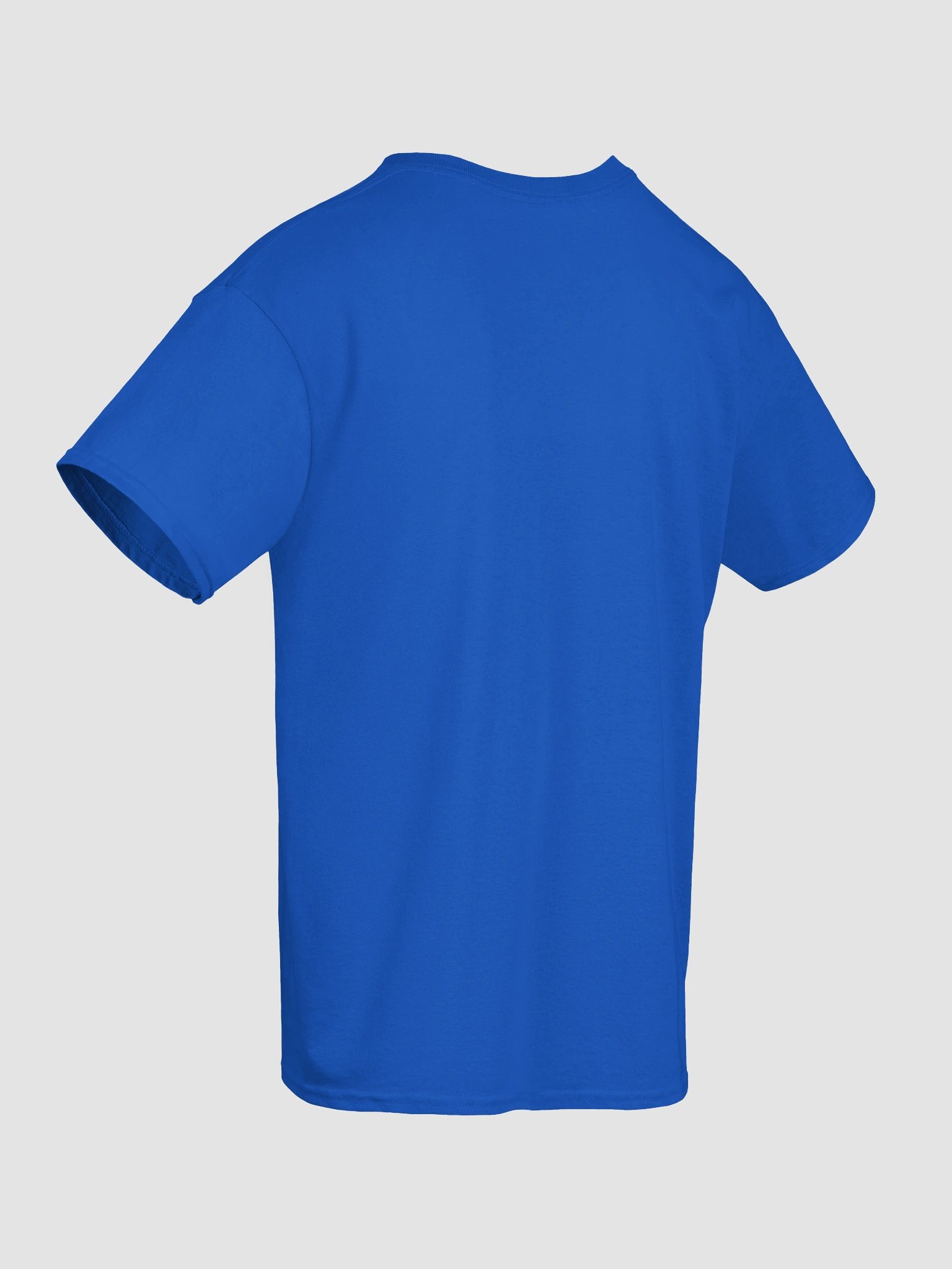 Sneaking Raccoon - Shirt product image (59)