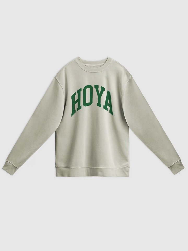 HOYA VARSITY - Midweight Pigment Dyed Sweatshirt product image (3)