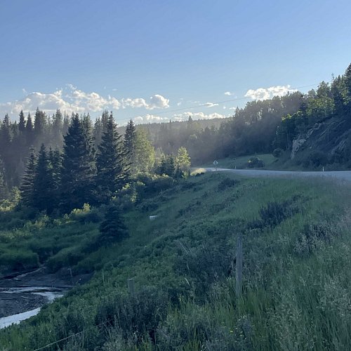 ⛺️We went with friends to enjoy a lovely day on the trails last week. It's a beautiful spot in southern Alberta mountains.

#...