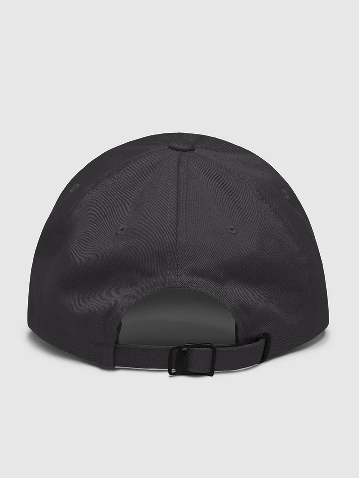 ANTEBELLUM CAP product image (2)