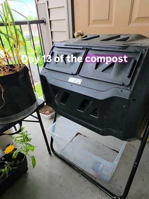 Day 13 of the Compost Challenge #30daychallenge #garden #compost