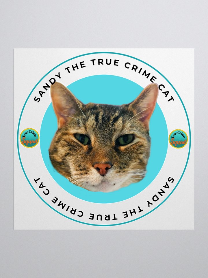 Sandy the True Crime Cat product image (4)