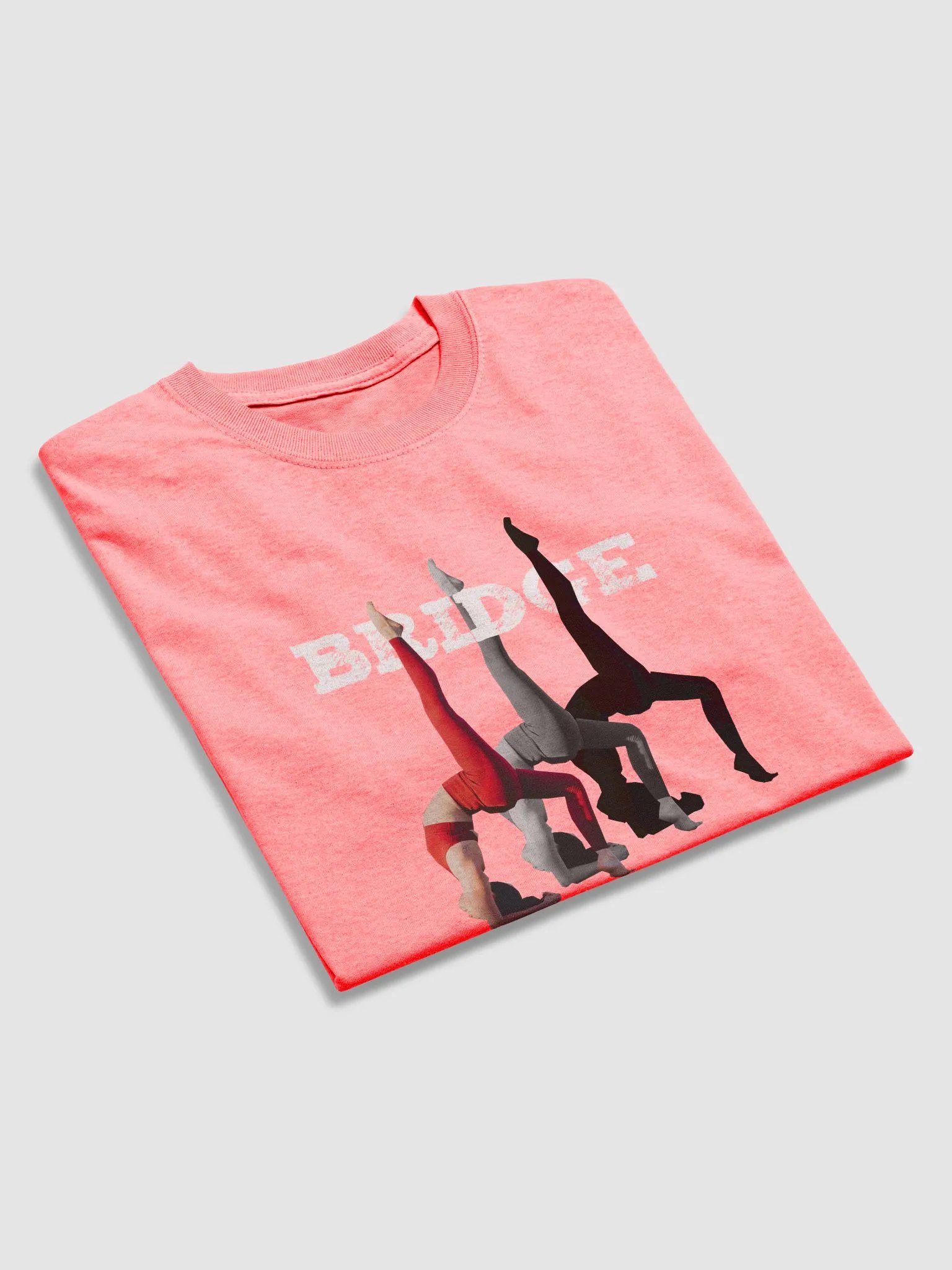 BRIDGE product image (4)