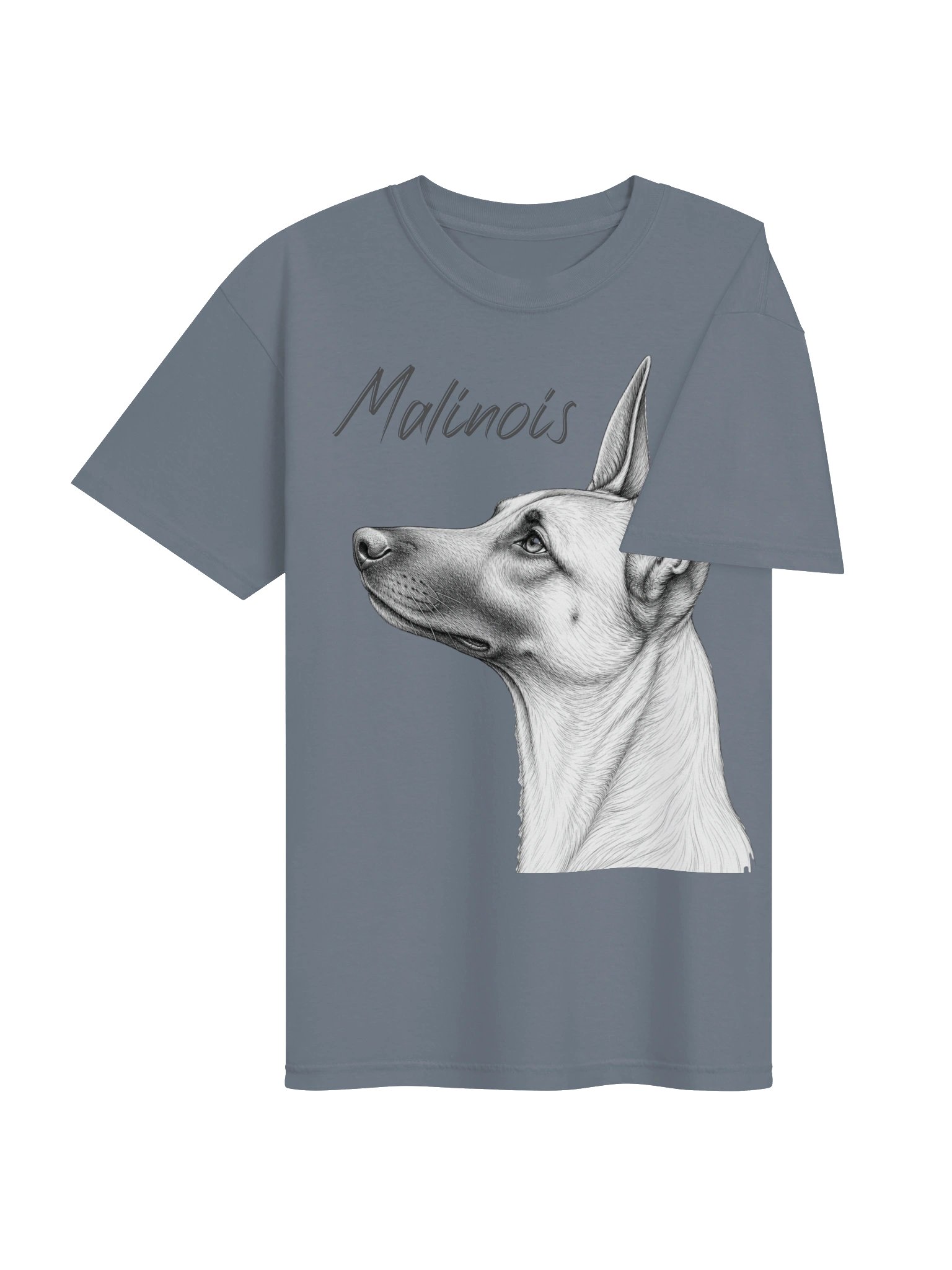 Belgian Malinois Profile product image (26)