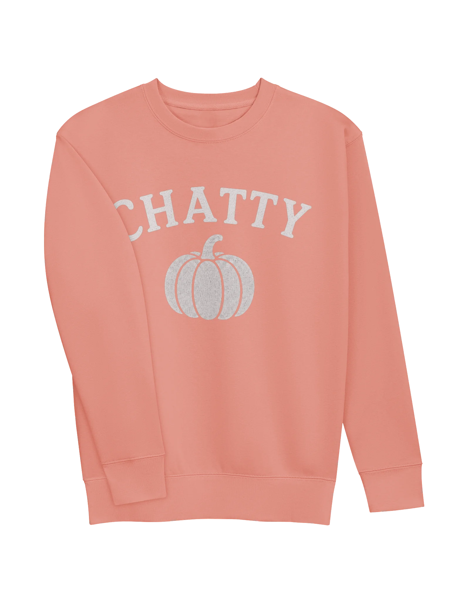 Chatty Pumpkin Premium Sweatshirt | Cozy Chatty Fall Collection product image (3)