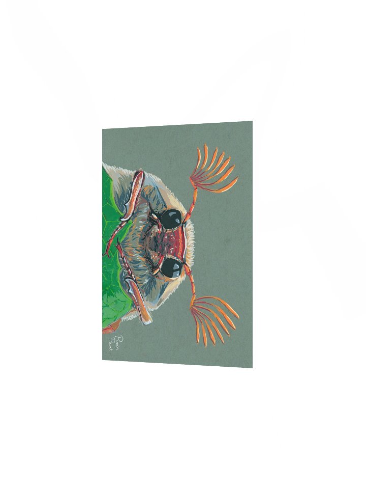 Cockchafer print product image (2)