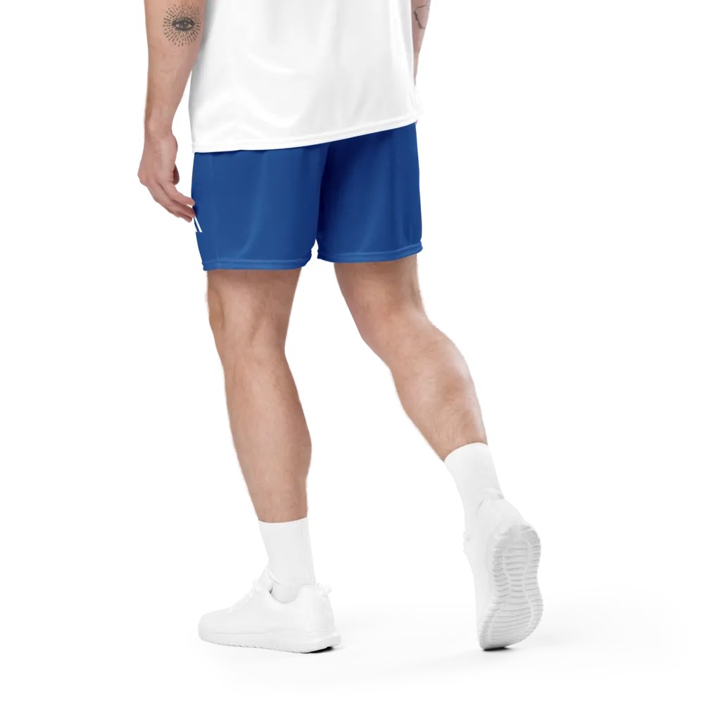 Athletic Shorts - Royal Blue product image (5)