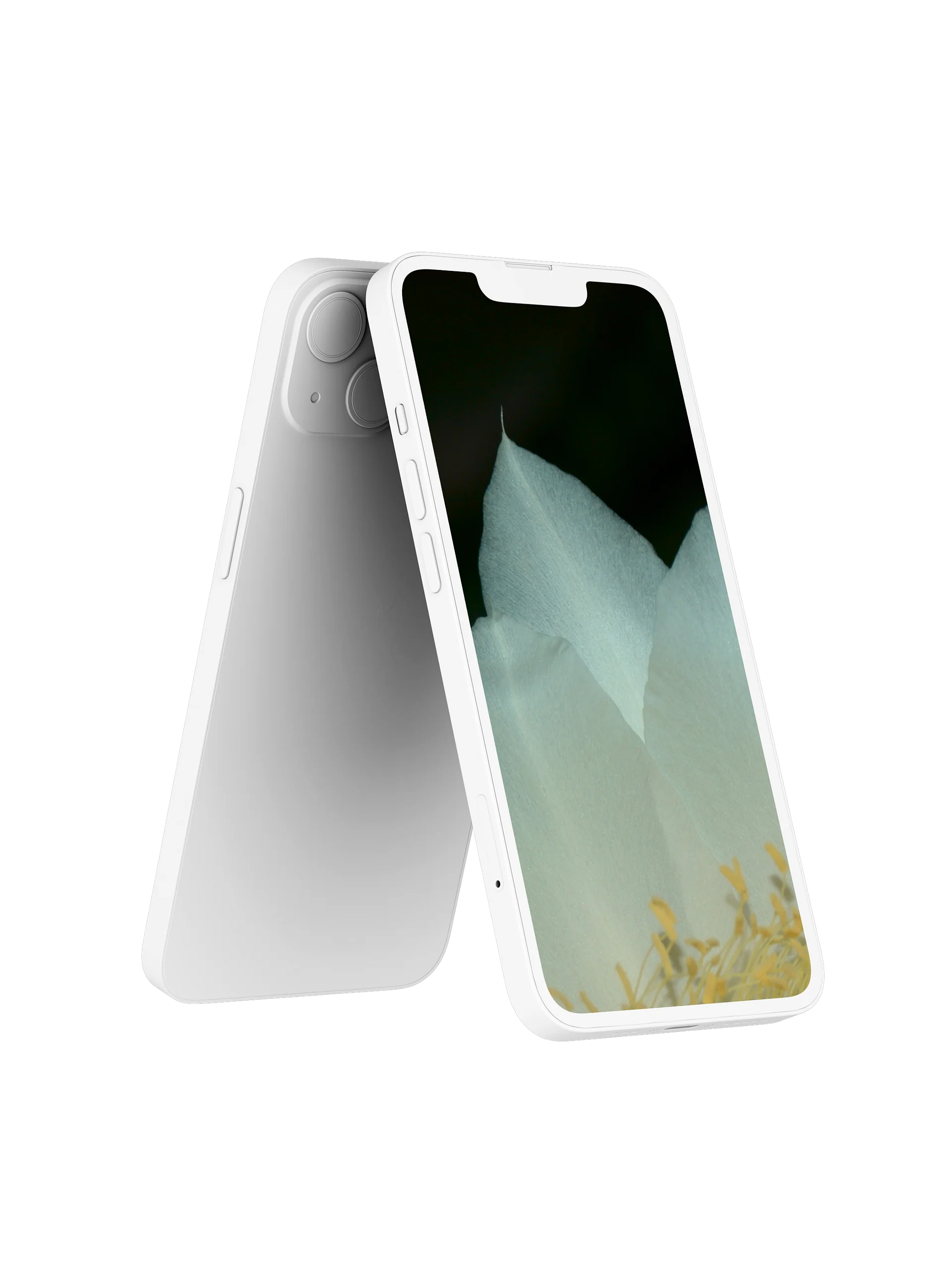 Night-Blooming Cereus Digital Wallpaper Set product image (2)