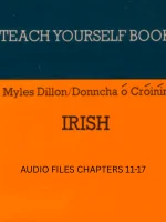 Audio files for Teach yourself Irish 2/4 product image (1)