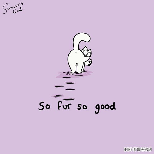 Congratulations! You made it to Friday...👍