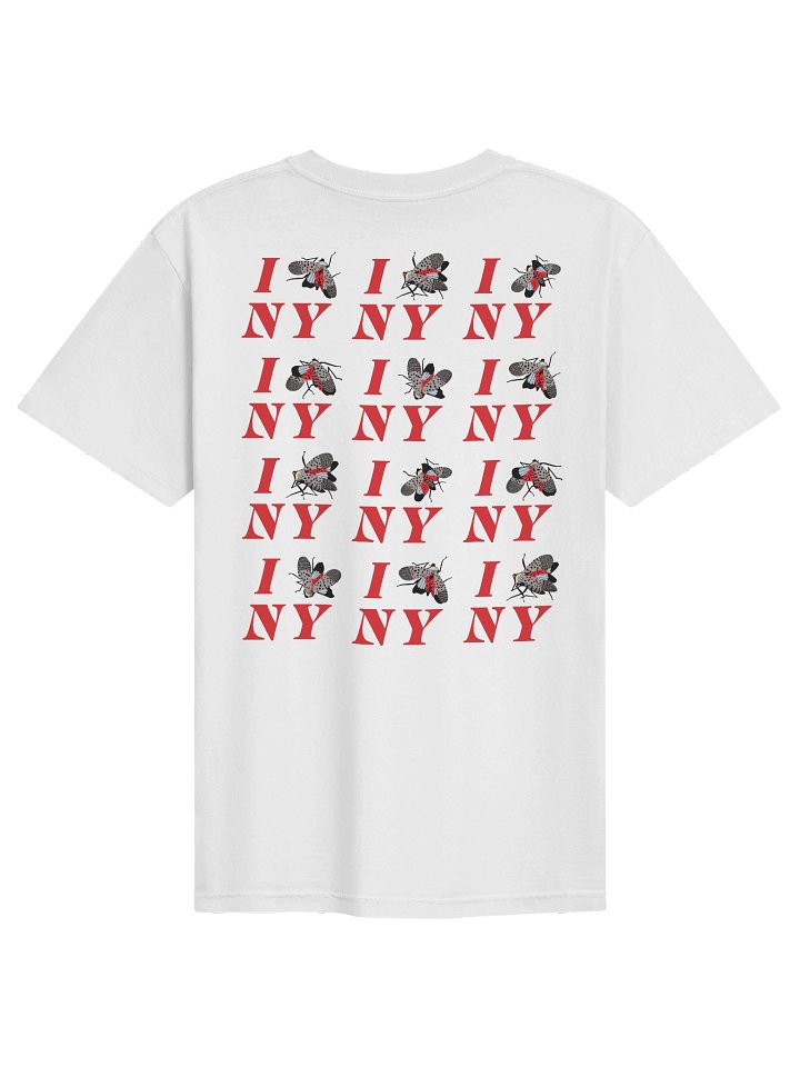 Short Sleeve 2 product image (2)