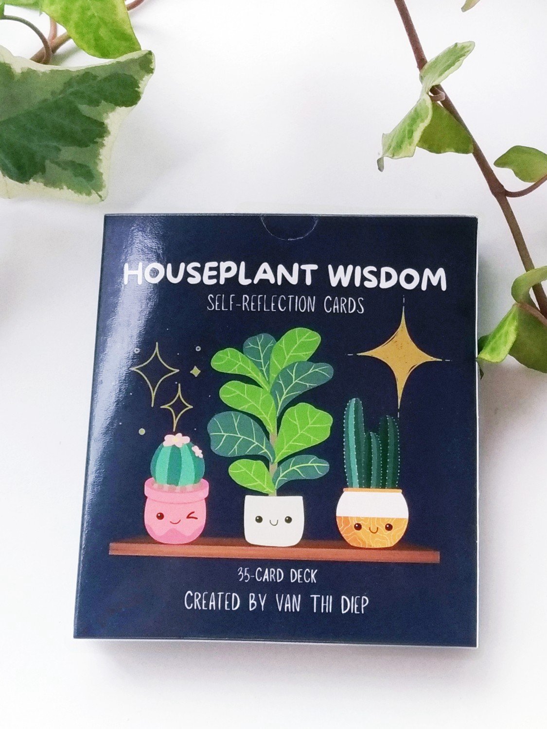 Houseplant Wisdom Self-Reflection Cards product image (1)