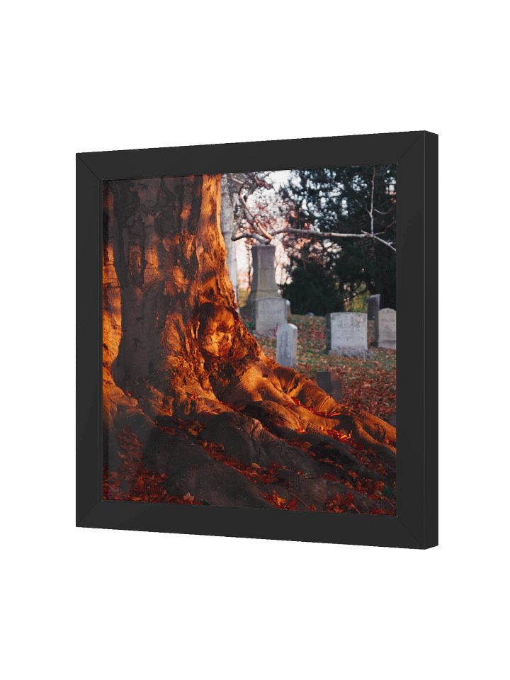 Life & Death Framed Matte Poster product image (15)