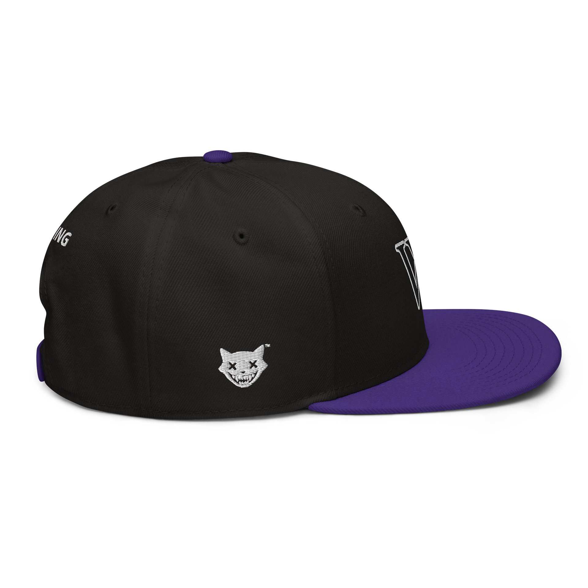 CLASSIC VY VYNING SnapBack product image (5)