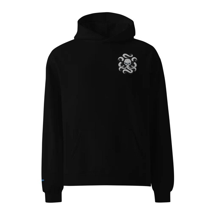 Embroidered Hoodie product image (1)