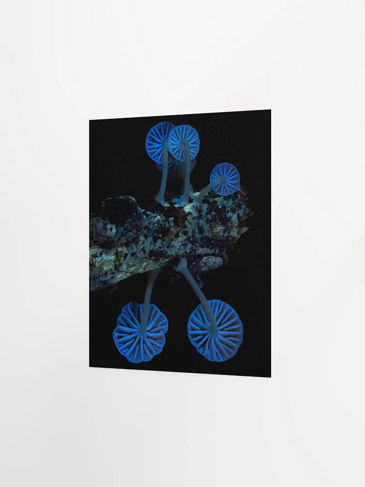 Mycena UV Print product image (4)
