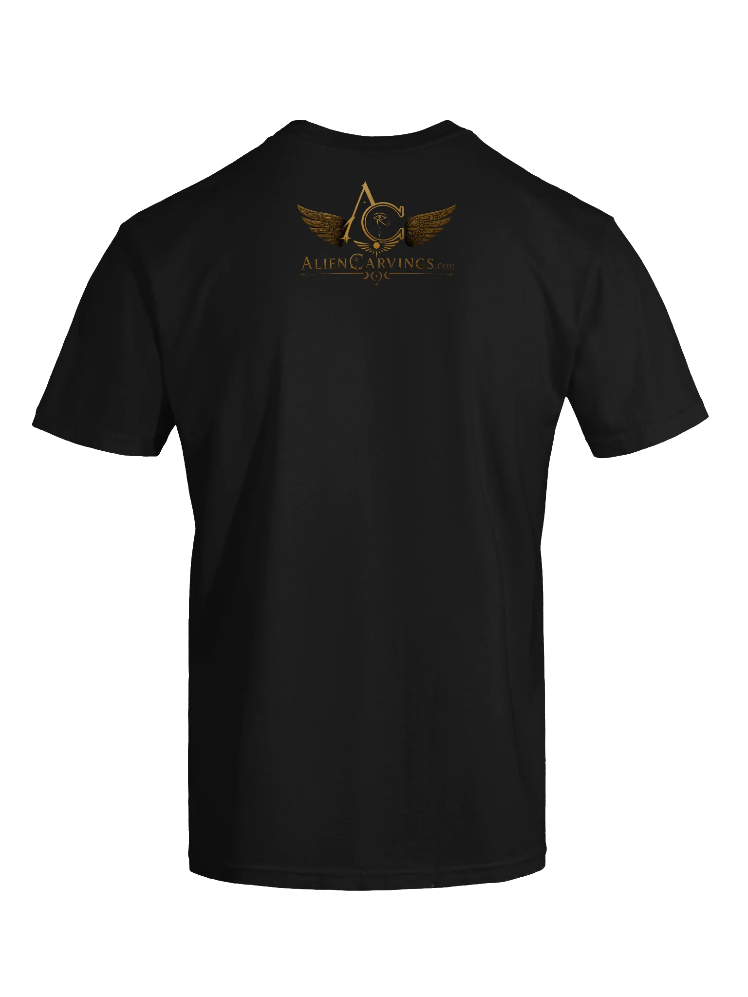 The Preservation of Knowledge Premium T-Shirt product image (7)