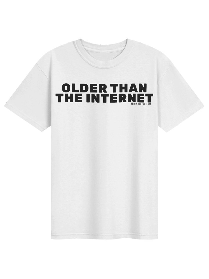 Older Than The Internet Heavyweight Shirt (Light Colors Design) product image (1)