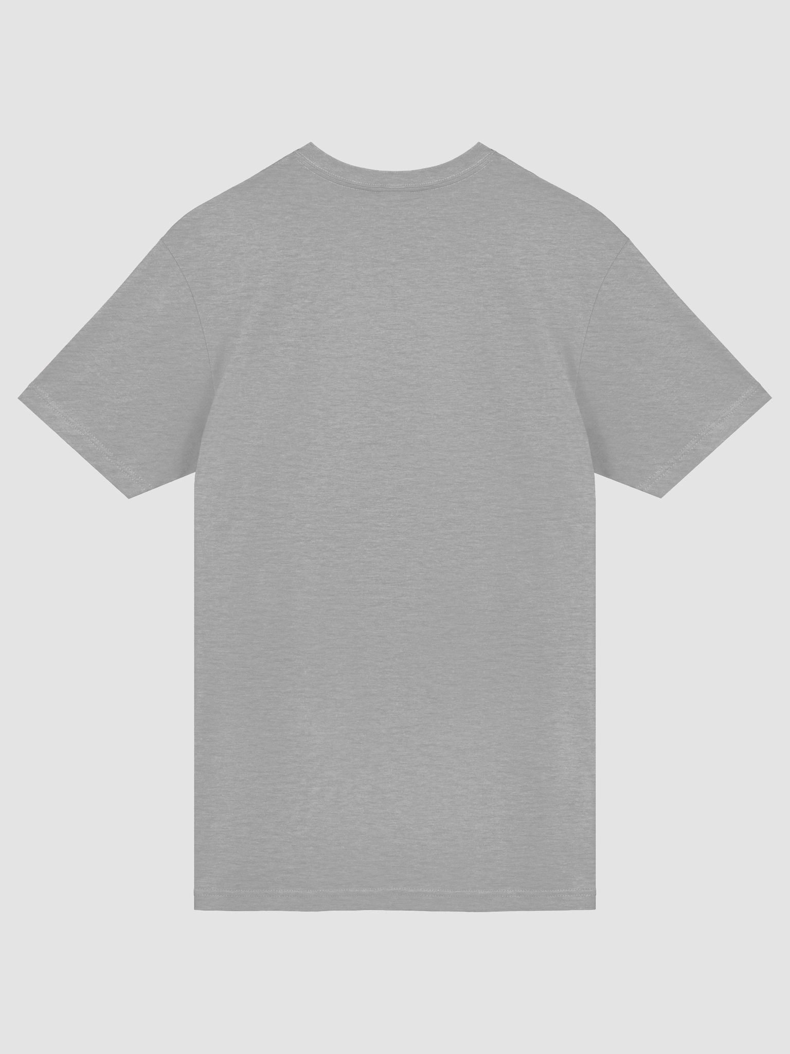ZwaneDev | Gray Simple T Ξ product image (6)