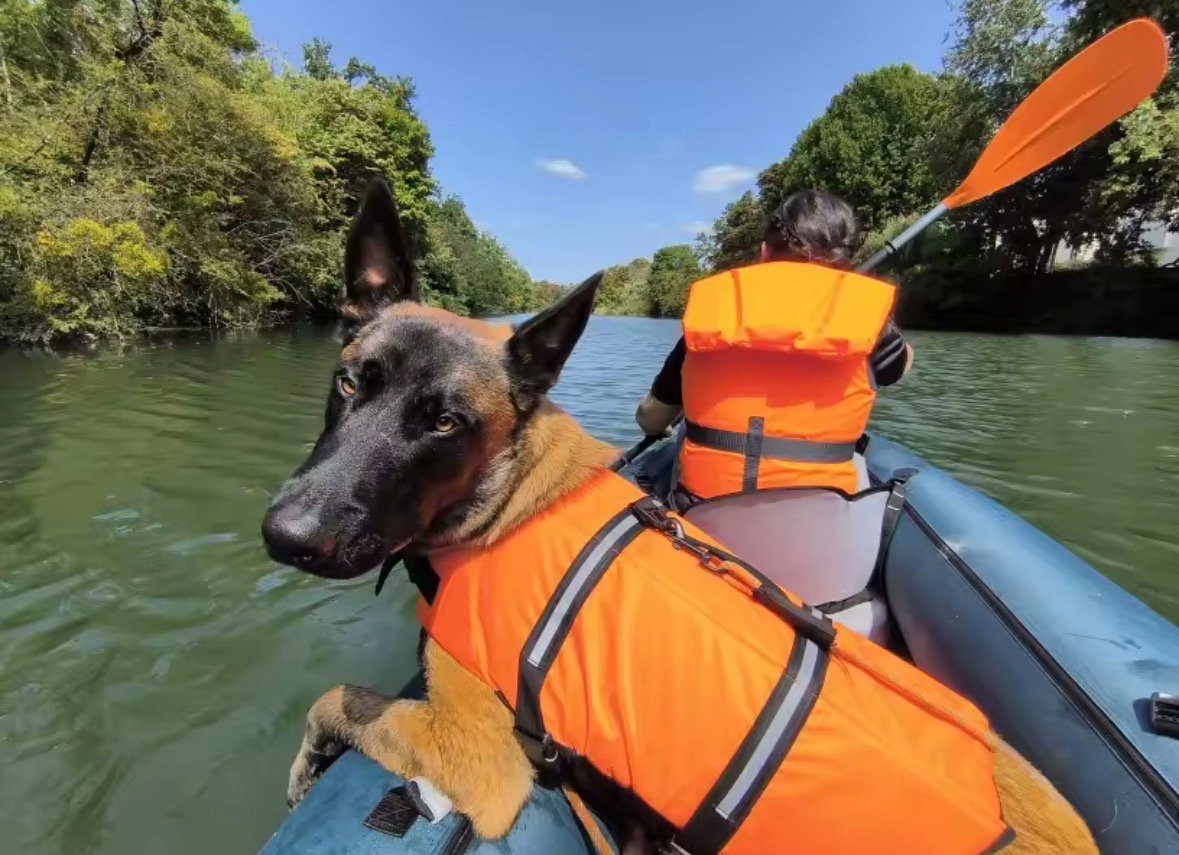 Life Jackets For Dogs and Cats product image (11)