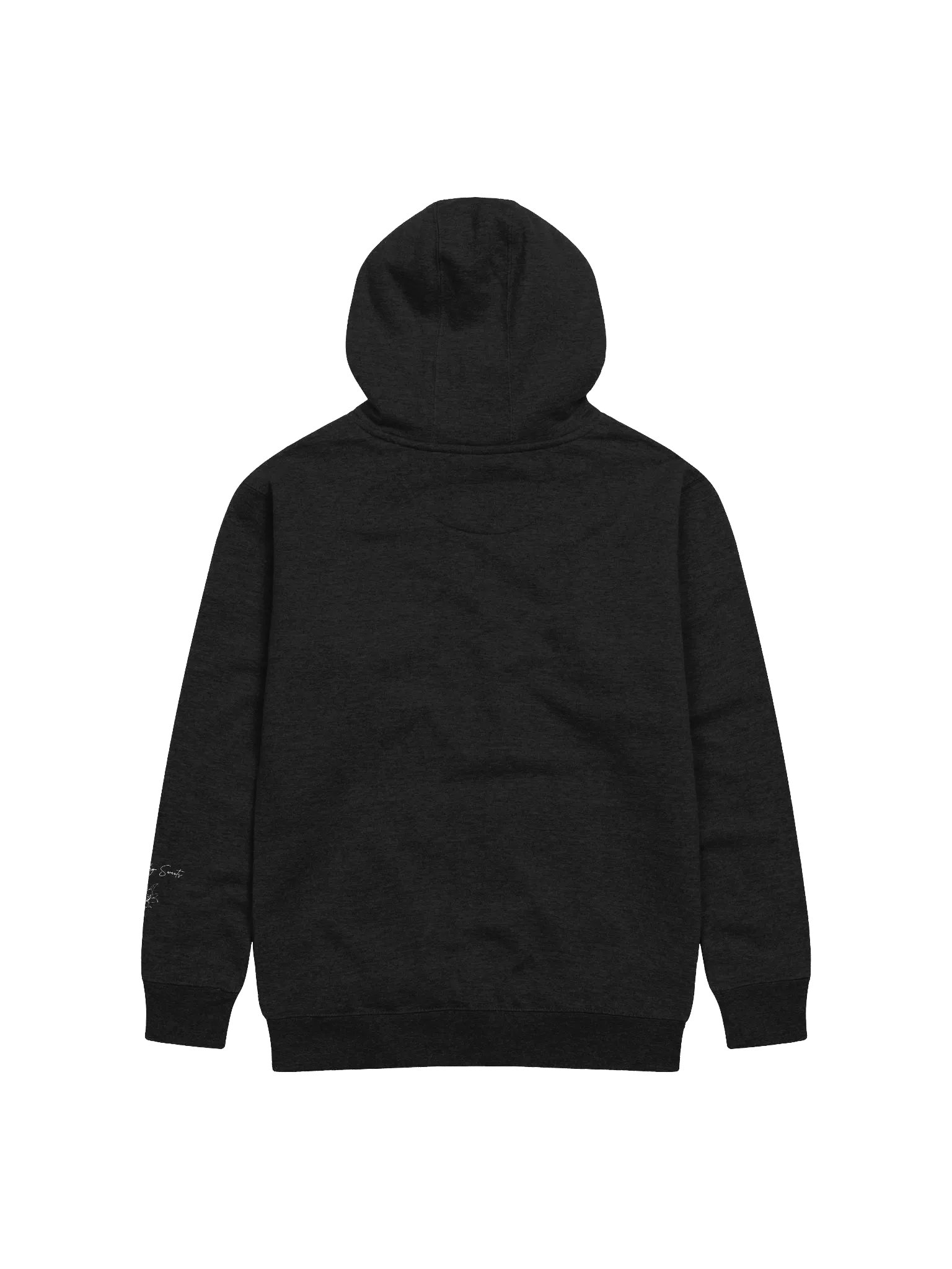 Pterodactyl Plushie Hoodie product image (16)