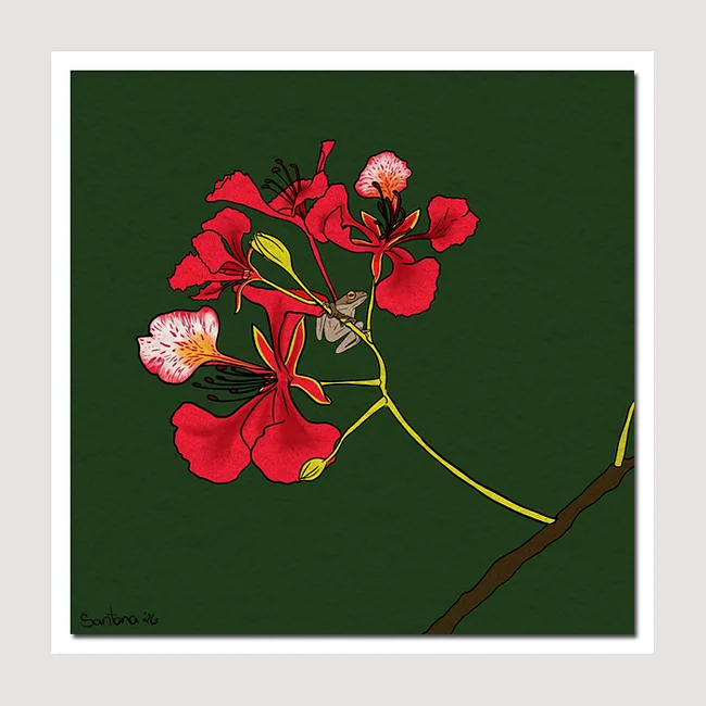 Art Prints