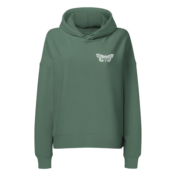 What a Friend We Have in Jesus Hoodie product image (2)