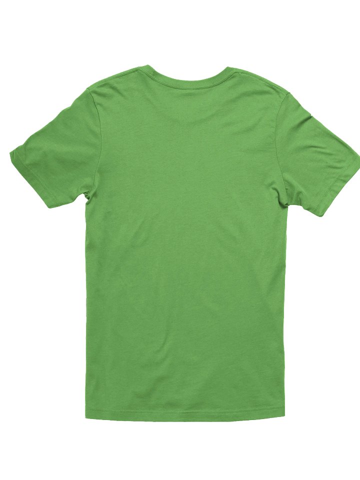 Loud and Proud Demiromantic T-Shirt product image (17)