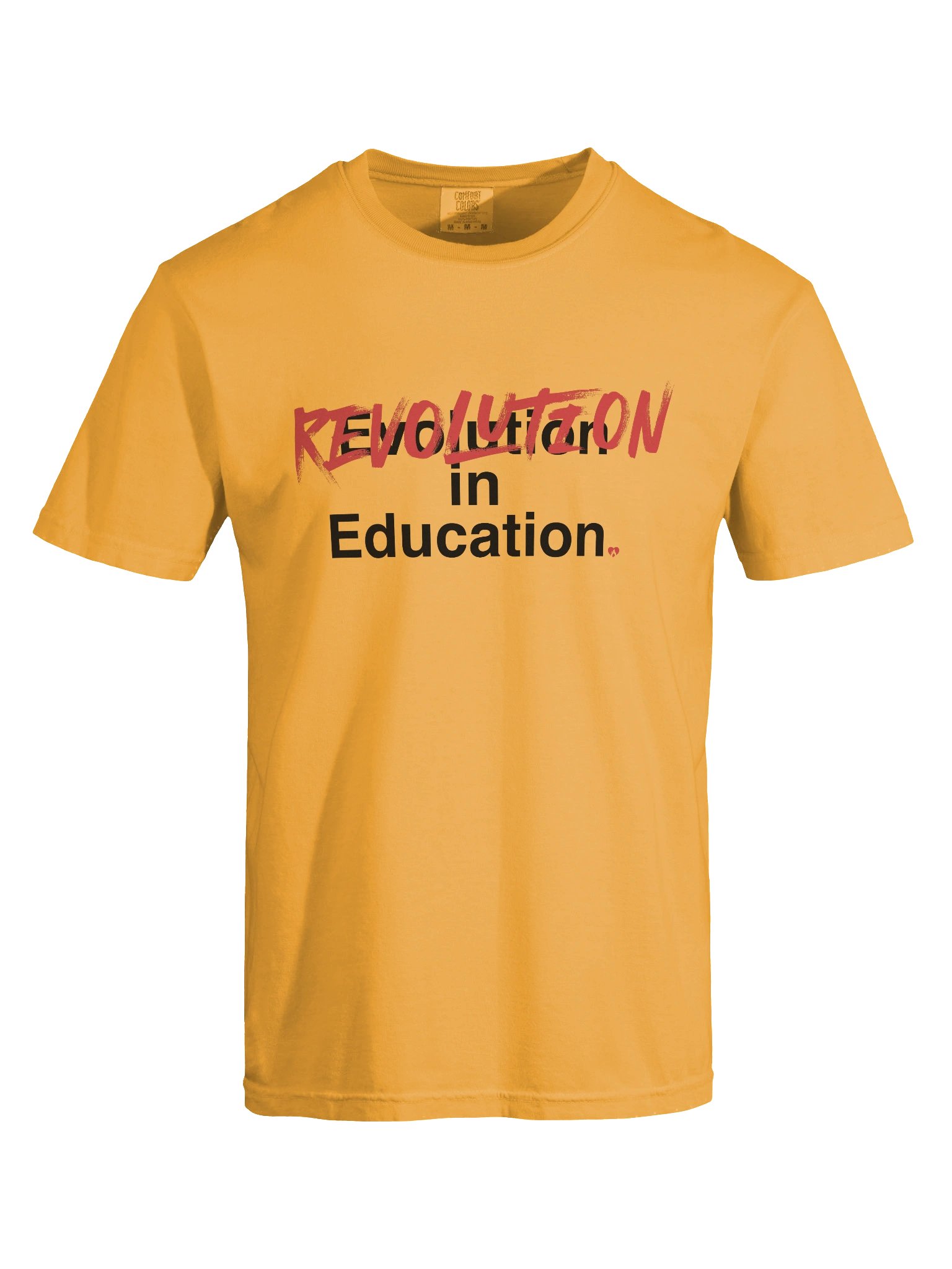 Revolution, not evolution, in Education product image (25)