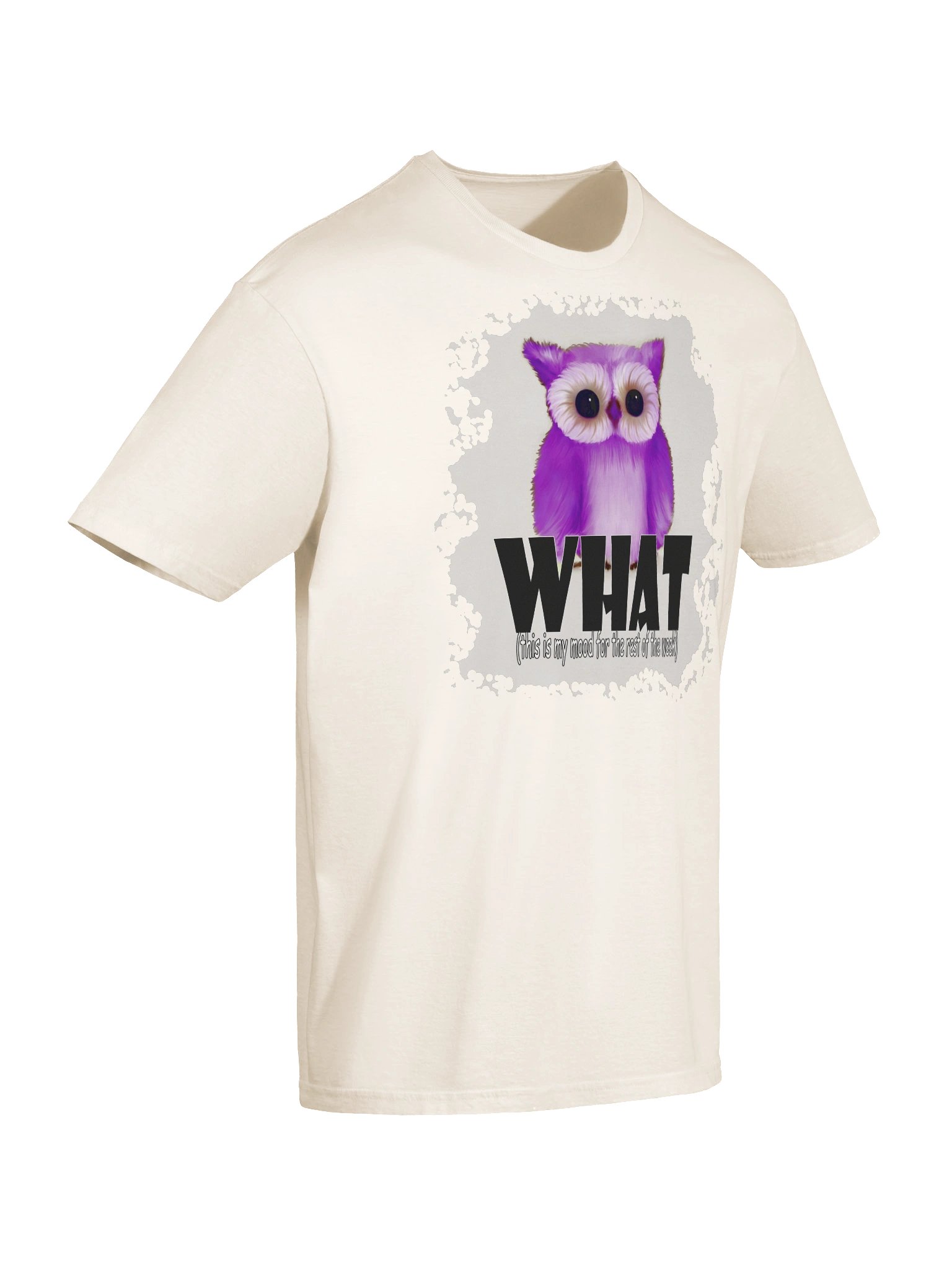 Unisex Gildan Softstyle T-Shirt product image (7)
