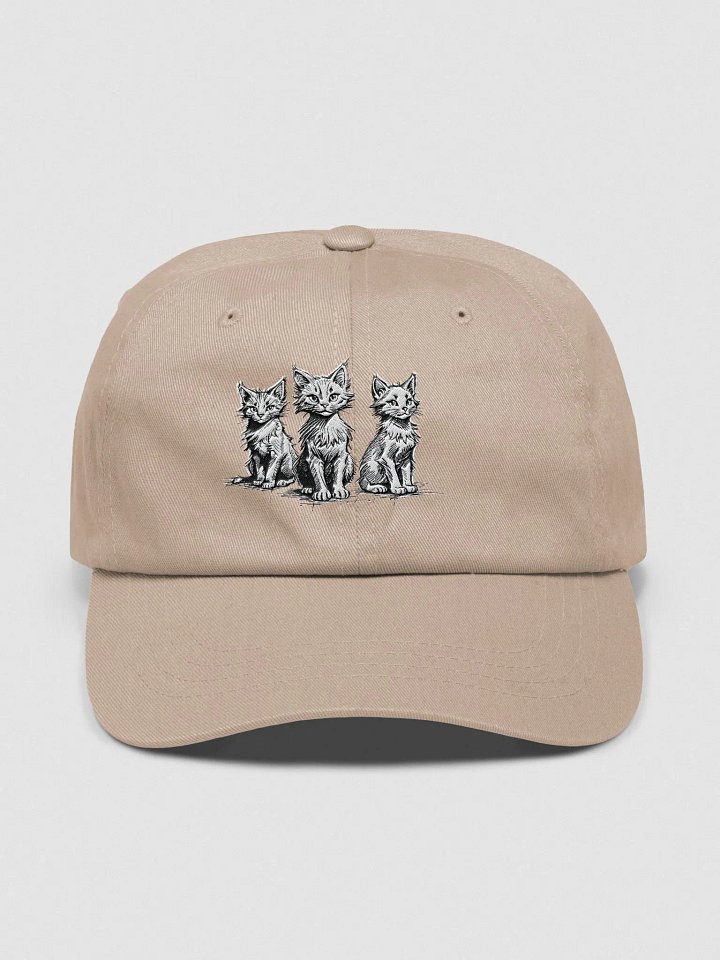 Wild and Free Collection Embroidered Hat product image (41)