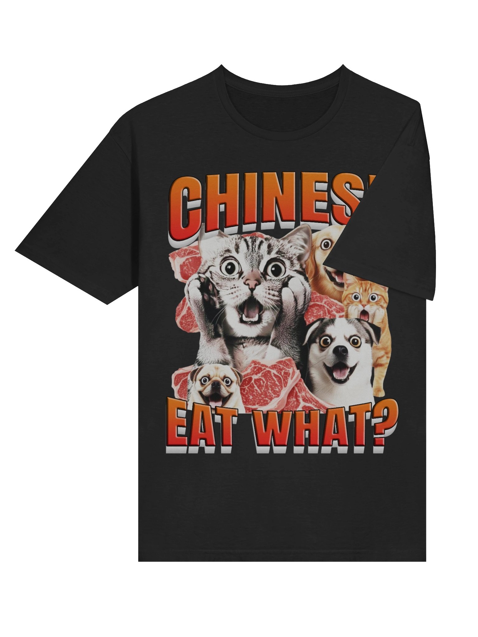 Chinese Eat What? T-Shirt product image (6)