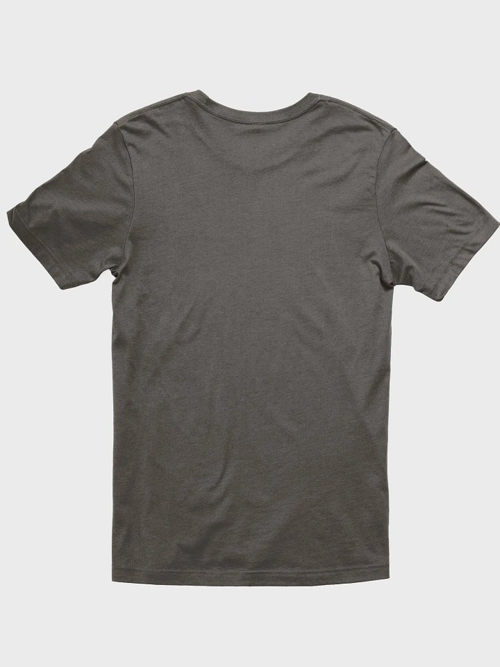 Walk in Truth: Discerning Lies T-Shirt product image (12)