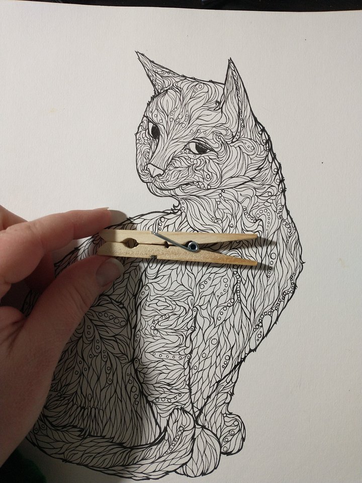 Coloring Club Page 1: Cat 1 November, 2025 product image (1)