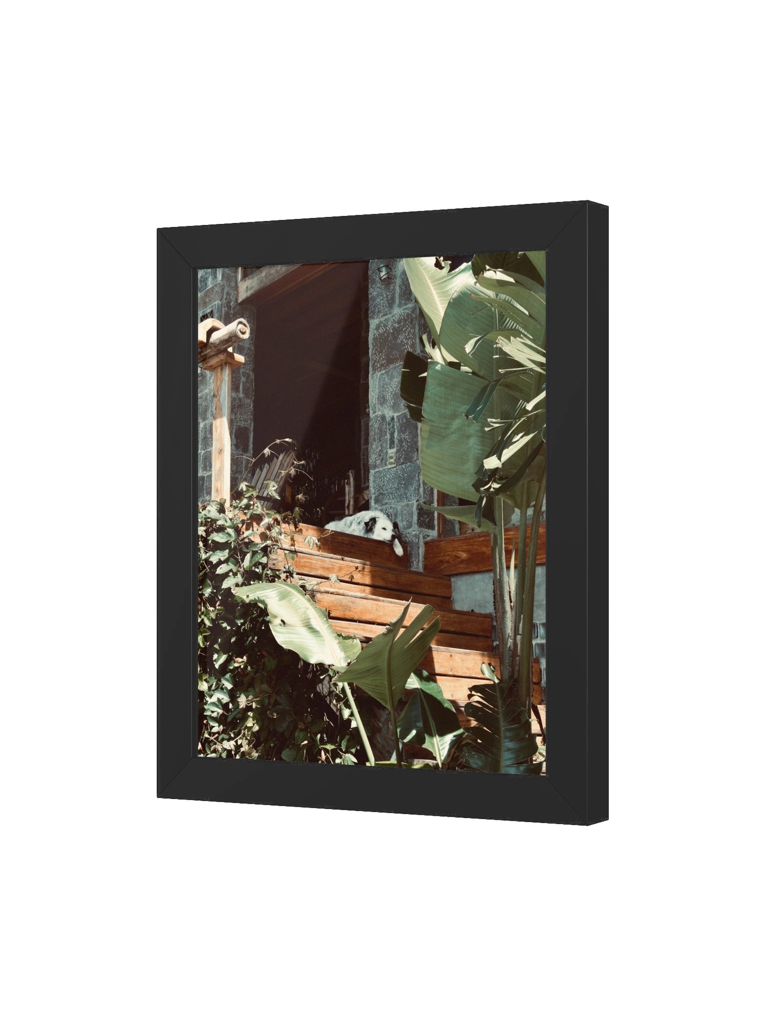 Atitlan Dog product image (53)