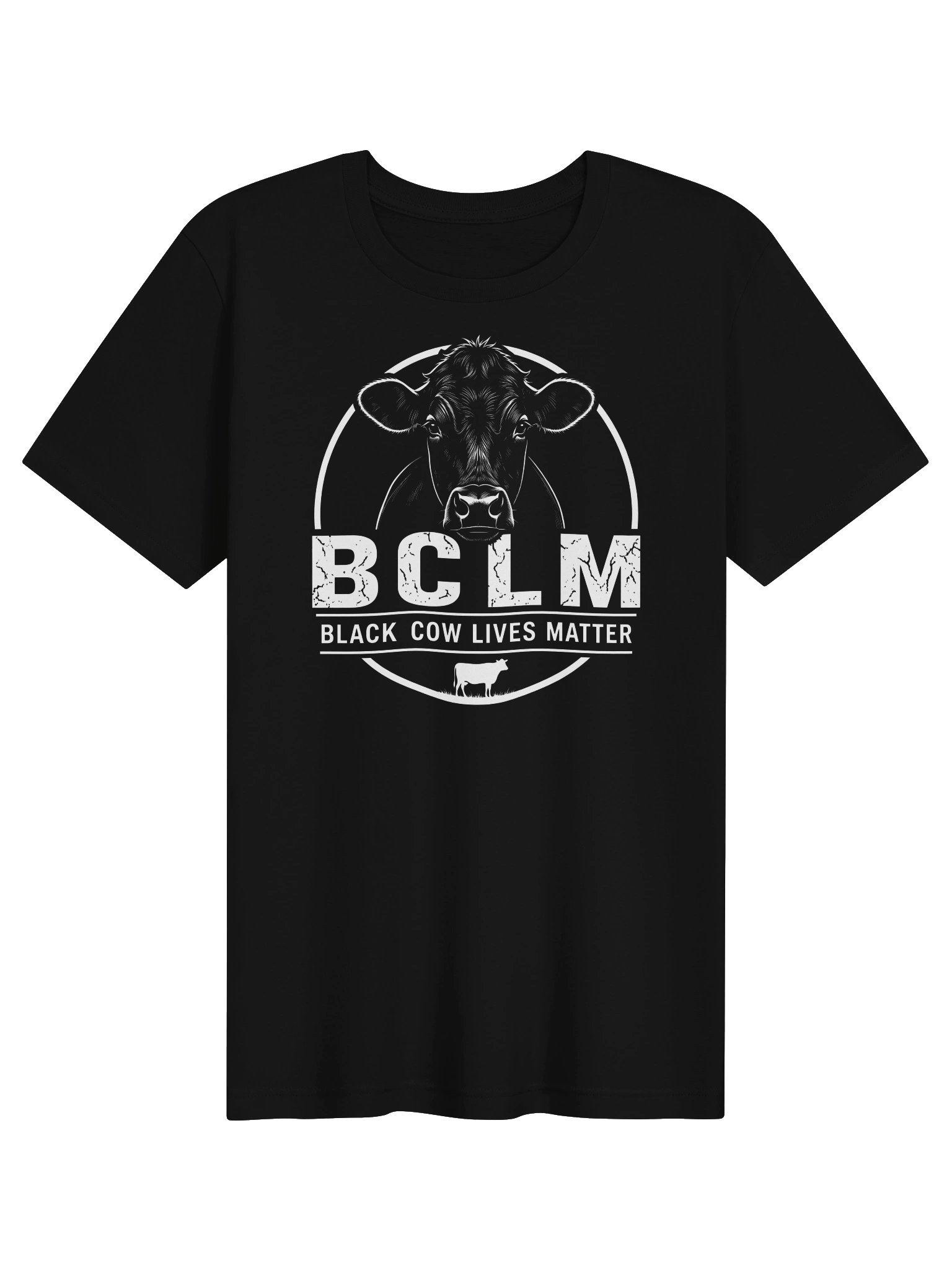 BCLM Flagship Triblend Tee product image (1)