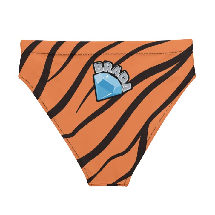Brada Tiger Stripes Recycled Bikini Bottoms product image (2)