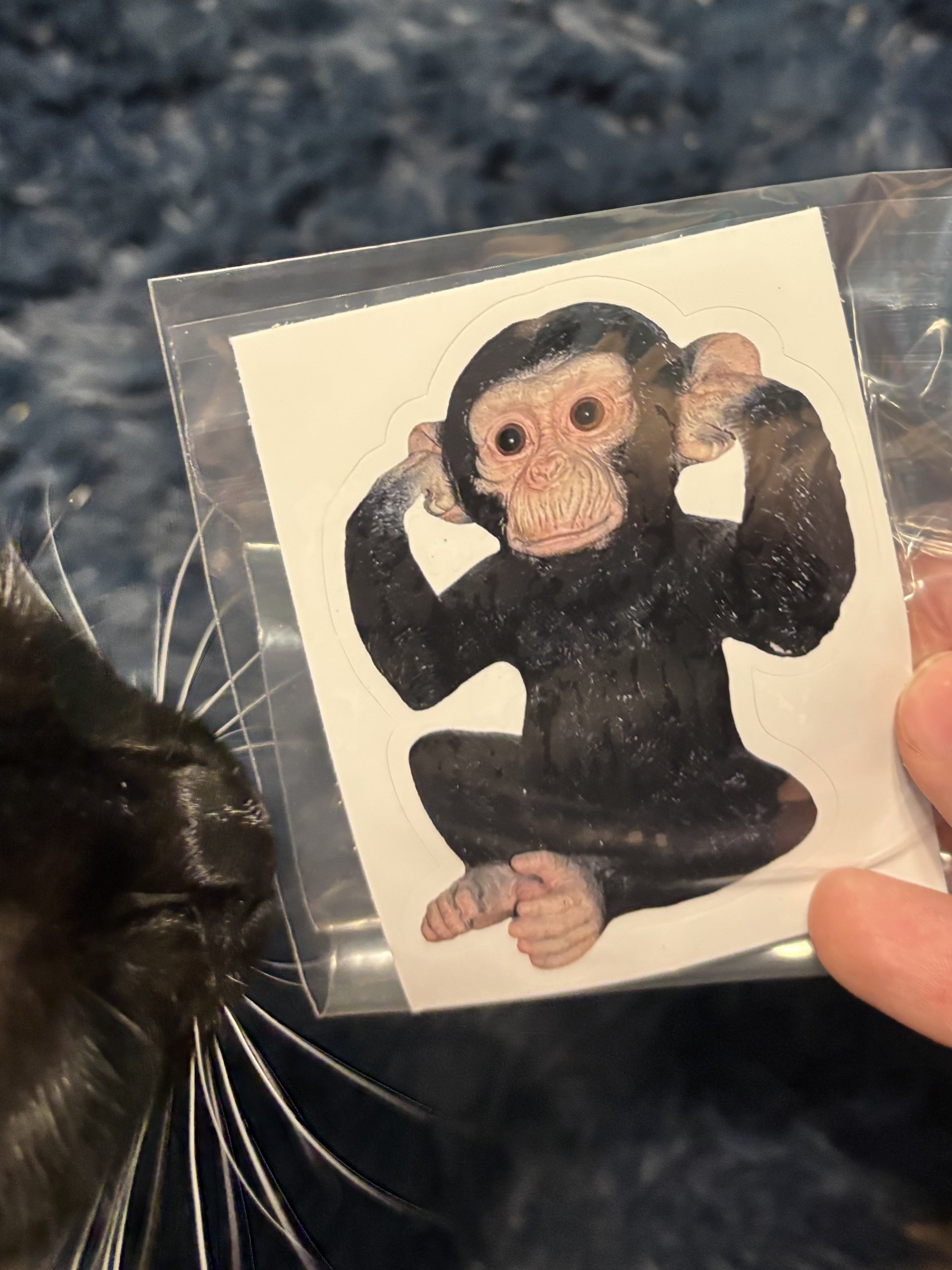 cursed ape sticker product image (2)