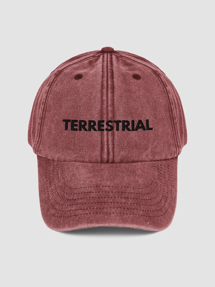 Classic Logo Distressed Hat product image (2)