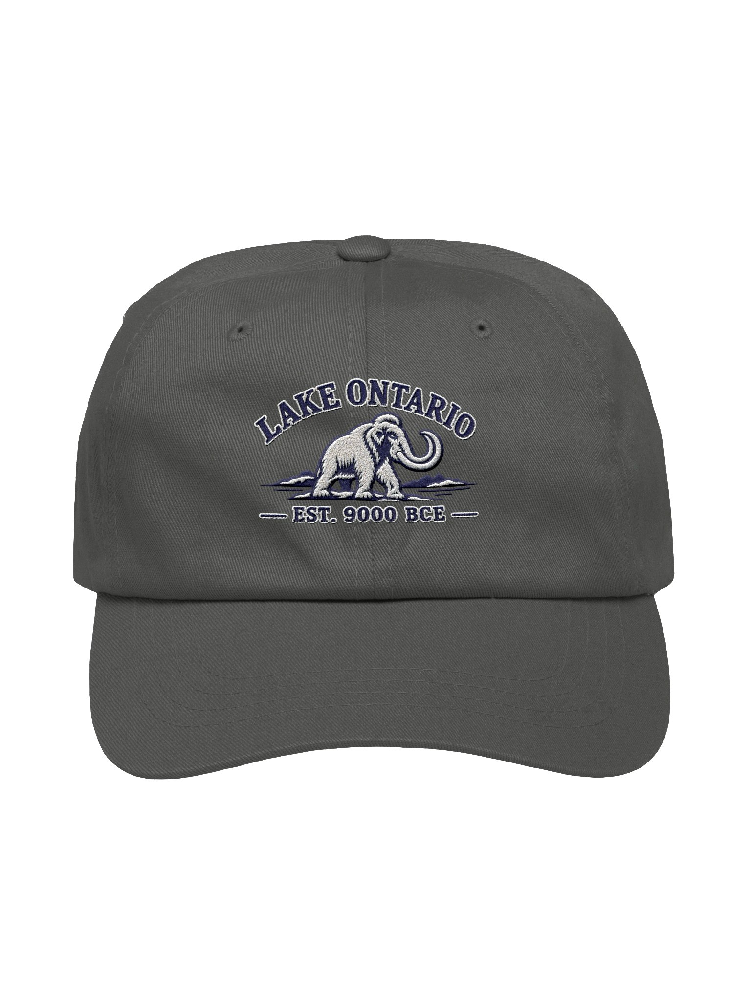Lake Ontario Mammoth Premium Hat | Dark Gray product image (1)
