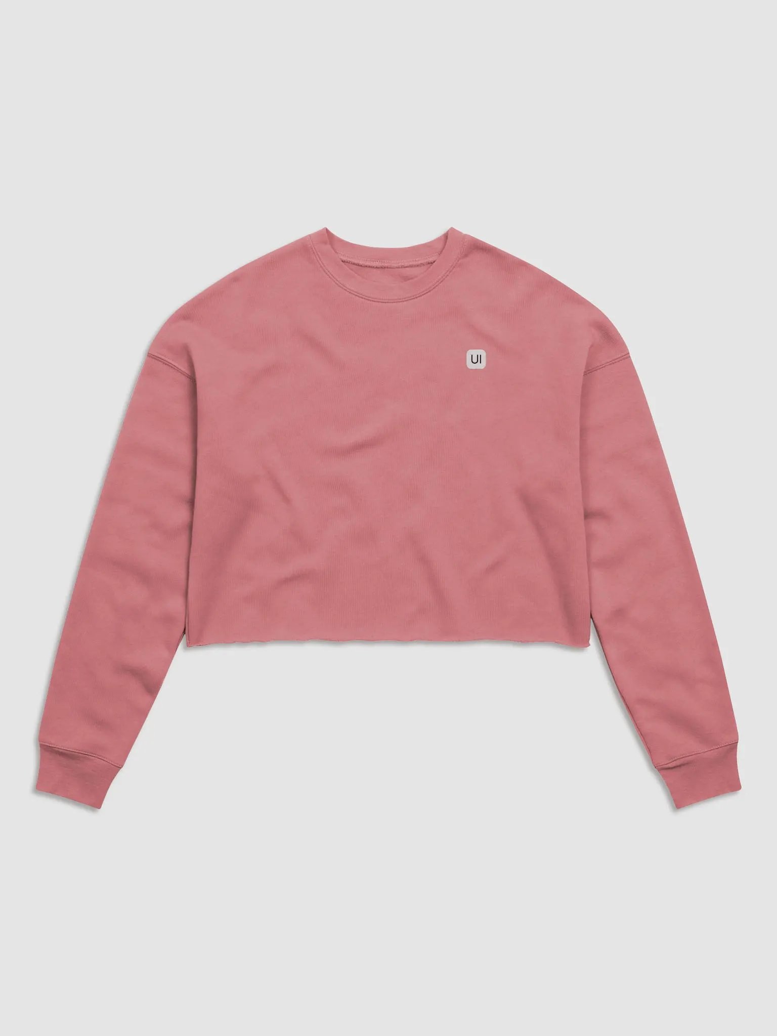HeroUI Pink Hoddie product image (1)