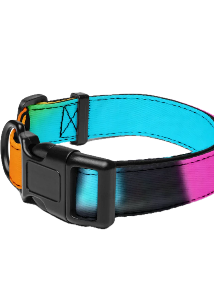 EIFFEL PARIS • PET COLLAR 3 SIZES product image (4)