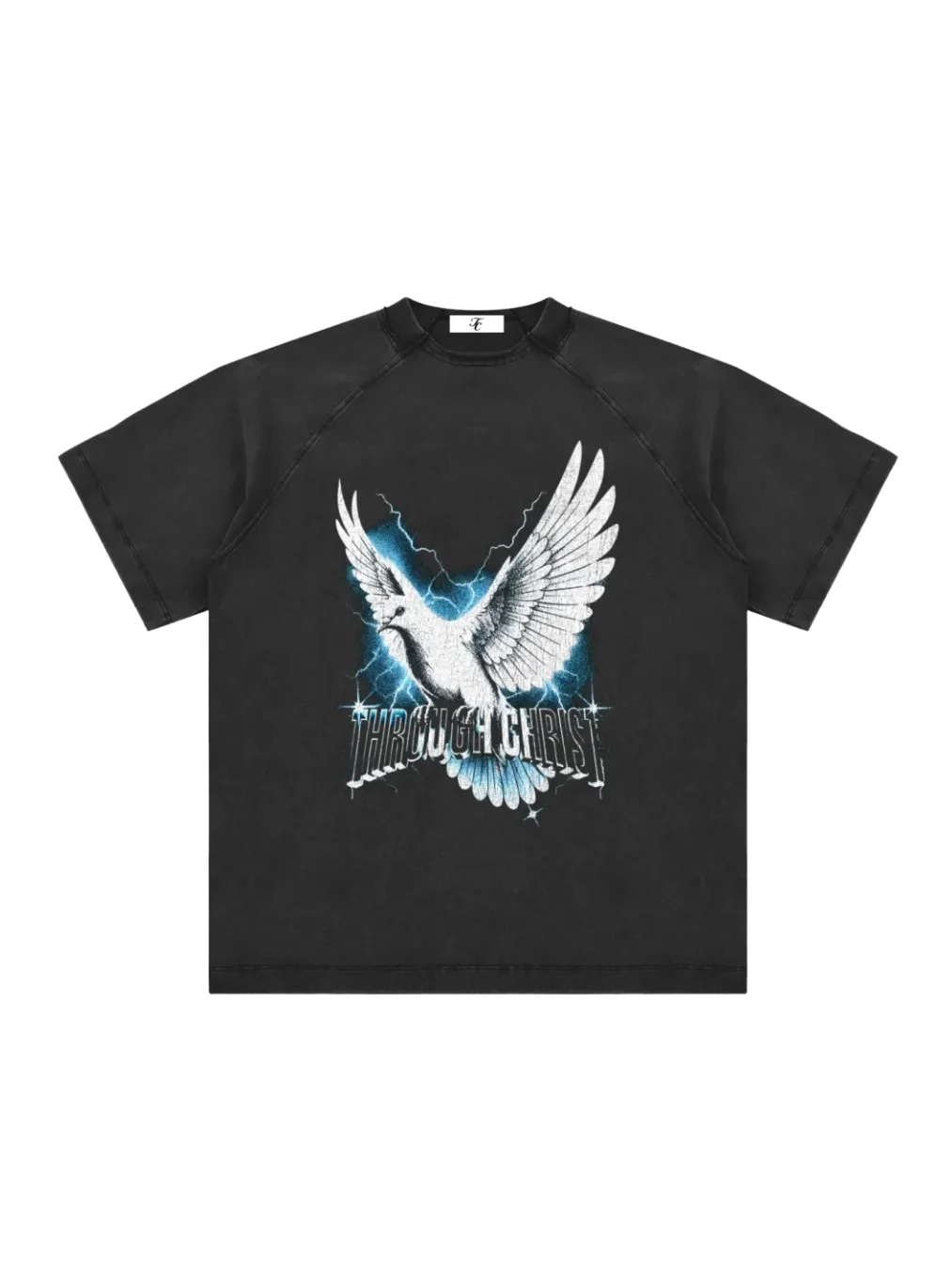 Through Christ Dove Tee product image (2)
